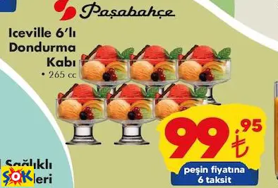 PAŞABAHÇE ICEVİLLE 6’LI DONDURMA KABI